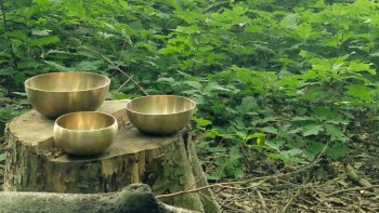 02 Landart Wald