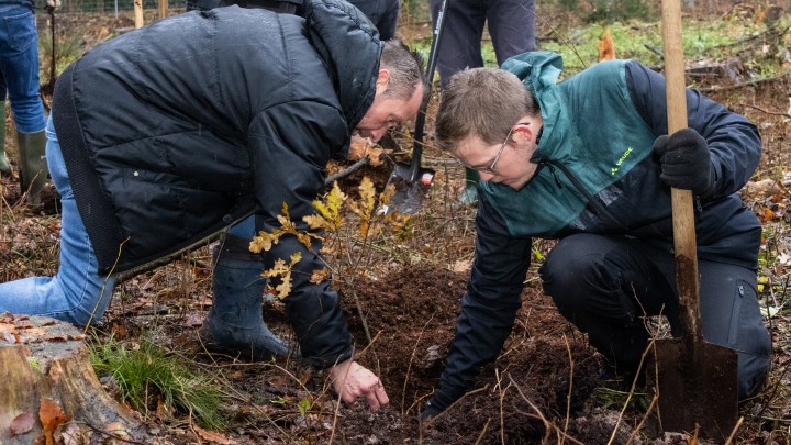 Mitarbeiter pflanzen 500 Bäume für Paul Gauselmann